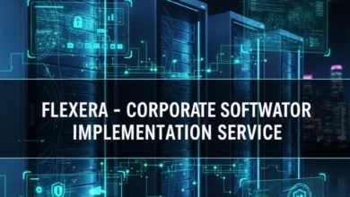 Corporate Software Inspector